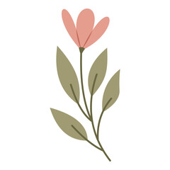 Obraz premium Flower Pink Illustration
