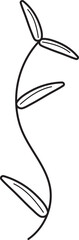 leaf hand drawn line art