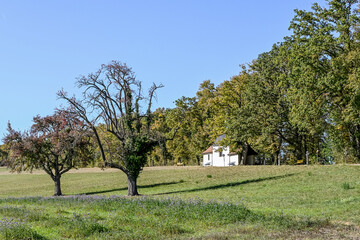 Obraz premium Mariastein, Dorf, Waldweg, Wanderweg, Kloster, Kapelle, Sankt Annakapelle, Herbstlaub, Herbstfarben, Felder, Landwirtschaft, Herbst, Schweiz