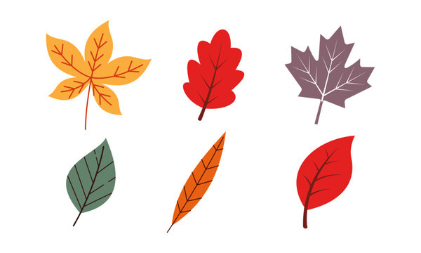 Autumn leaves logo vector image