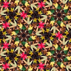 Kaleidoscope background of colorful autumn leaves