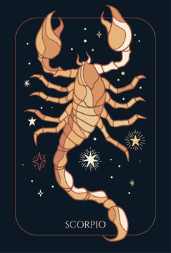 Zodiac sign Scorpio, Illustration of scorpion for zodiac sign