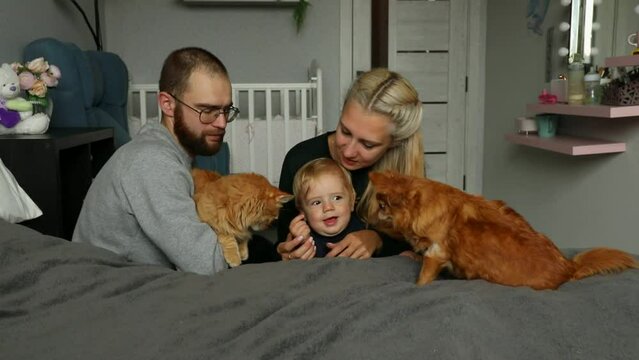 Family with baby and ginger dog and cat on bed.