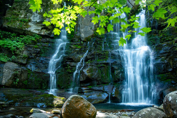 dardagna waterfalls regional park corno alle scale bologna - obrazy, fototapety, plakaty