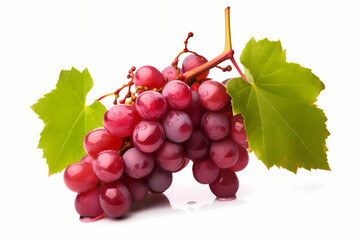Fototapeta premium a sprig of red grapes with leaves isolated on white 