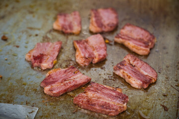 Meat on heating plate in professional kitchen
