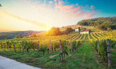 Fototapeta premium Red wine bottle and wine glass on wodden barrel. Beautiful Tuscany background. High quality photo