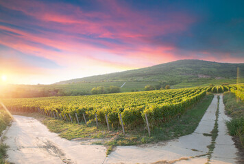 Red wine bottle and wine glass on wodden barrel. Beautiful Tuscany background. High quality photo