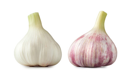 Obraz premium Raw garlic. Set of white and purple garlic. Raw heads of young garlic isolated on a white