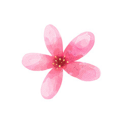 pink mini flower watercolor png isolated transparent background