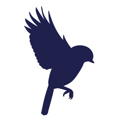 bird flying logo black silhouette, isolated vector