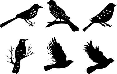 birds black silhouette, isolated vector