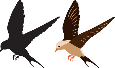 flying bird with silhouette, isolated vector