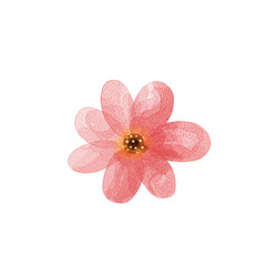pink mini flower watercolor png isolated transparent background