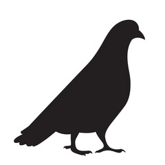 dove black silhouette, isolated vector