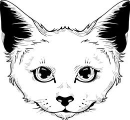 Cat head print vector drawing monochrome on white background