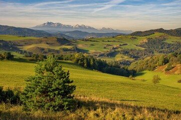 Fototapeta na wymiar View with High Tatras in Pieniny. Summer mountain landscape in Slovakia. Slovakia and Poland countryside.Mountain hiking, healthy lifestyle