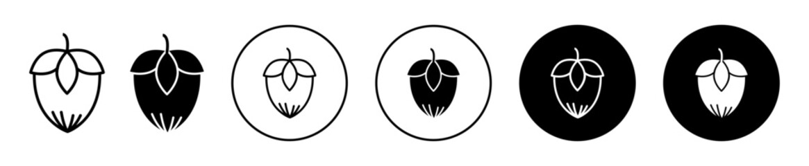 Obraz premium Hazelnut icon. Hazelnut seed plant with shell symbol set. Filbert hazel nut drawing vector sign. kernel hazelnut oil line logo