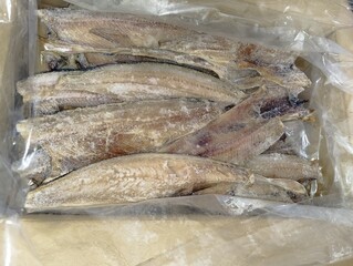 ダンボール箱に入ったたくさんの冷凍ホッケの切り身