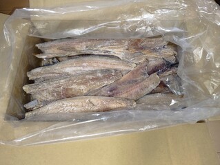 ダンボール箱に入ったたくさんの冷凍ホッケの切り身