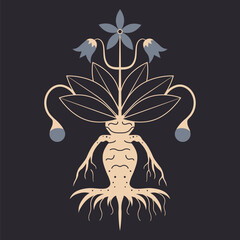 Mandragora Magic Plant Witchcraft Occult Icon