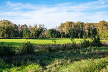 Nature reserve witg green fields and woods at the Flemish countryside around Aspelare, Flemish Region, Belgium