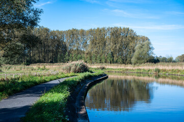 Meandering river Dender with a cycling path and reflecting trees, Denderleeuw, Flemish Region,...