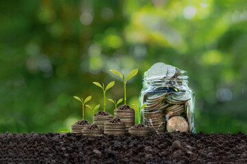 Green business. green investment, finance and sustainability investment.The tree grows on a pile of coins that located on the soil with Coins glass jar. Saving money for the future.Carbon credit.ESG.  - obrazy, fototapety, plakaty