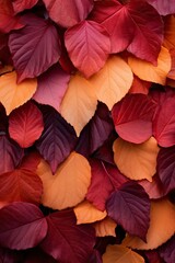 Fototapeta na wymiar Vibrant Autumn Leaf Tapestry: Nature's Colorful Transition Captured in Detail. Generative AI