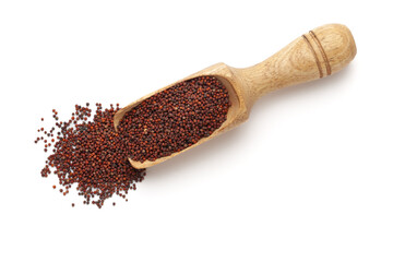 Organic Ragi (Eleusine coracana) or finger millet in a wooden scoop, isolated on a white...