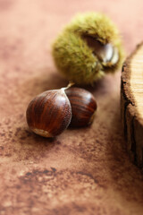 a close up of edible chestnut on a brown watercolor background