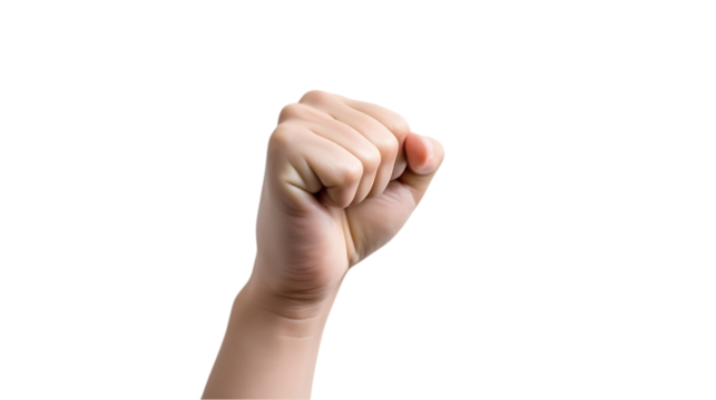 Woman's Fist Isolated on Transparent or White Background, PNG