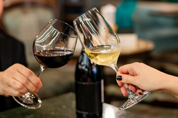 Close up of hands young couple man and woman clinking with glasses of red and white wine at...