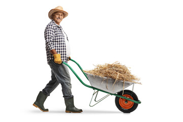 Full length profile shot of a mature farmer pushing a wheelbarrow with a stack of hay