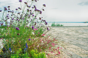Waterfront at the Lake Balaton in Siofok,Hungary.