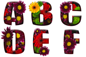 Floral letters made from different colors of flowers