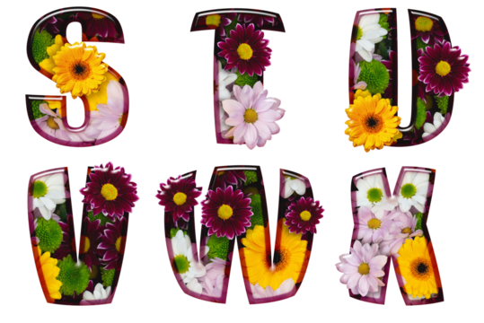 Floral letters made from different colors of flowers