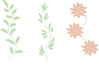 Vector illustration. Set of plant branches.
