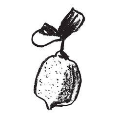 Vector lemon symbol. Citrus fruit icon in trendy hand drawn doodle style. Black illustration for lime label, organic badge, lemon juice packaging design or website. Calligraphic cosmetic symbol.