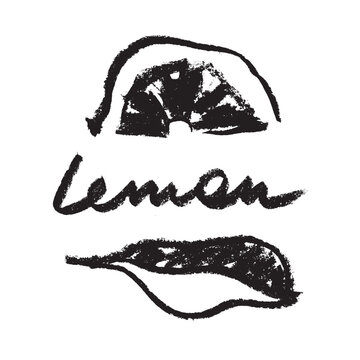 Vector lemon symbol. Citrus fruit icon in trendy hand drawn doodle style. Black illustration for lime label, organic badge, lemon juice packaging design or website. Calligraphic cosmetic symbol.