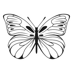 Vector Butterfly Black Silhouette Isolated on White Background. Decorative Insect Illustration