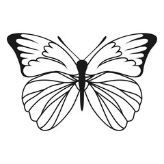 Vector Butterfly Black Silhouette Isolated on White Background. Decorative Insect Illustration