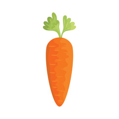 Carrot icon vector illustration. Vegetable on isolated background. Agriculture plant sign concept.