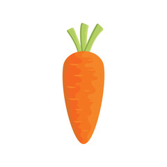 Carrot icon vector illustration. Vegetable on isolated background. Agriculture plant sign concept.