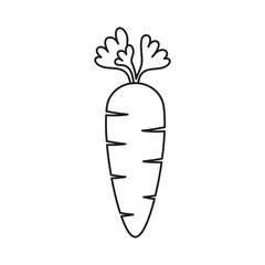 Carrot icon vector illustration. Vegetable on isolated background. Agriculture plant sign concept.