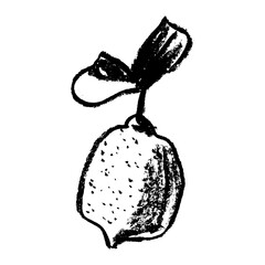 Png lemon symbol on transparent background. Citrus fruit icon in trendy hand drawn doodle style. Black illustration for lime label, organic badge, lemon juice packaging design or website.