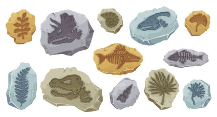 Dinosaur fossil ancient fish skeleton, stone plant © Buch&Bee