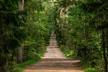 Uphill forest road near Valmiera garden cooperative. - obrazy, fototapety, plakaty