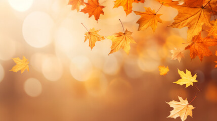 Naklejka na ściany i meble Falling autumn maple leaves
