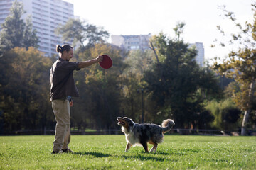 The owner of a young man plays with his Australian Shepherd dog a flying saucer